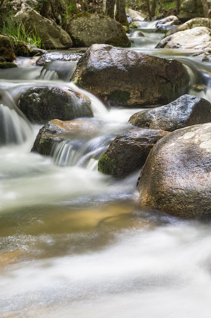 Paisaje natural con aguas que fluyen del río.