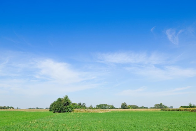 paisaje natural campestre con cielo azul y pradera verde