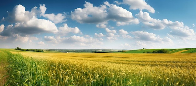 Paisaje natural con campo de hierba verde de trigo maduro dorado Imagen generada por IA