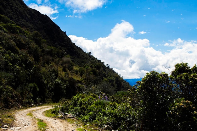 paisaje natural cielo azul