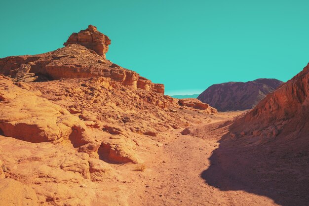 Paisaje natural del desierto Rocas de arenisca en el parque Timna Israel