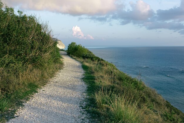 Paisaje natural de la hermosa naturaleza de Chipre Camino en la colina cerca de la costa del mar Mediterráneo y rocas Afrodita