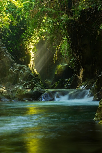 Paisaje natural indonesio con una hermosa cascada en medio de un bosque tropical