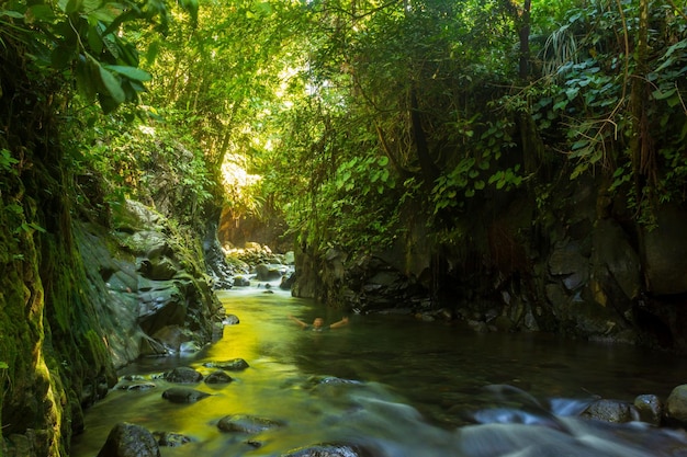 Paisaje natural indonesio con una hermosa cascada en medio de un bosque tropical