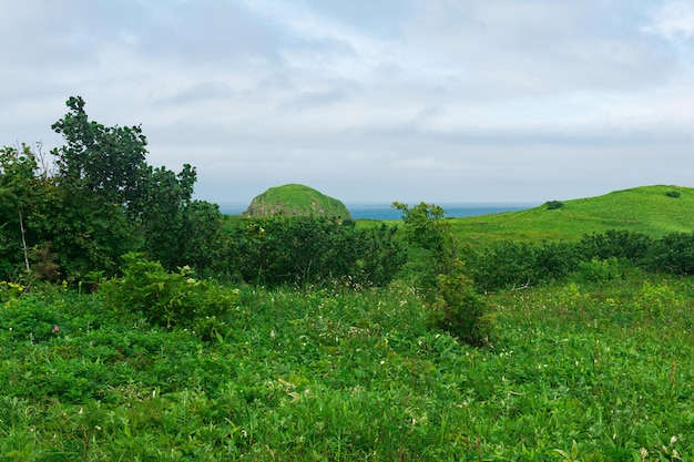 Paisaje natural de la isla Kunashir con colinas cubiertas de hierba y el océano al fondo