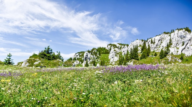 Foto paisaje natural, montaña