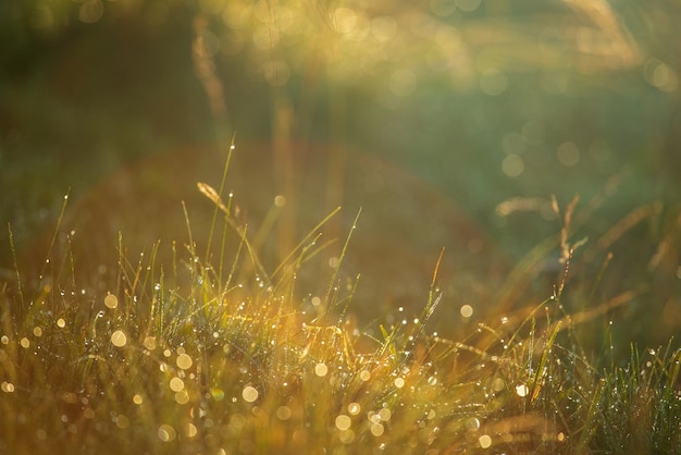 Paisaje natural en las montañas con fondo bokeh en las montañas rodnei