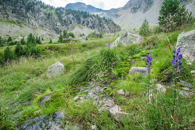 Paisaje Natural Mountain View Pirineos en verano, Aragón, España