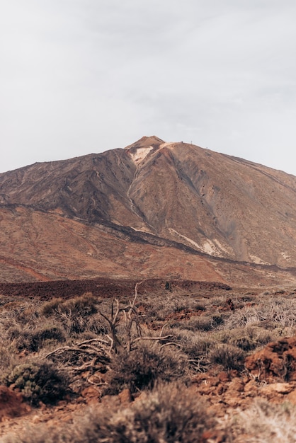 Paisaje natural no teide tenerife