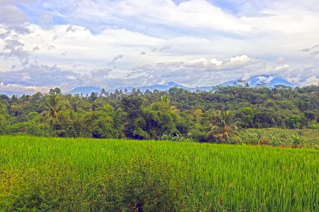 Un paisaje natural que es tan hermoso y sorprendente en un pueblo genial.