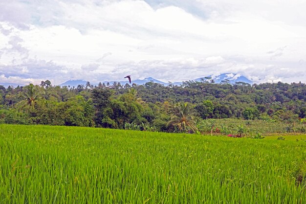 Un paisaje natural que es tan hermoso y sorprendente en un pueblo genial.