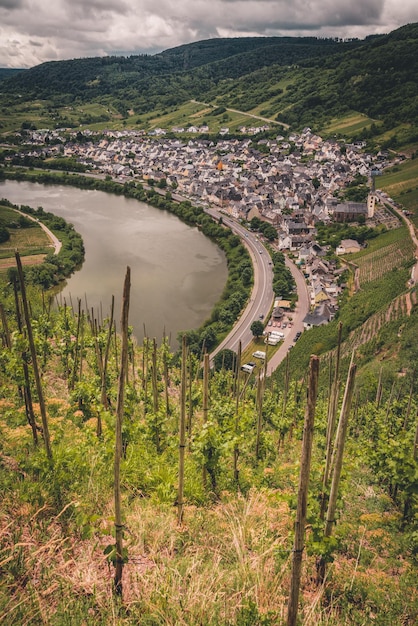 Foto paisaje natural del río mosel moselschleife