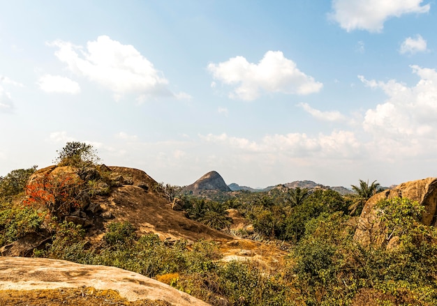 Foto paisaje de naturaleza africana con vegetación y cielo.