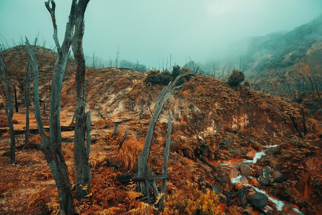 paisaje naturaleza cerca del volcán