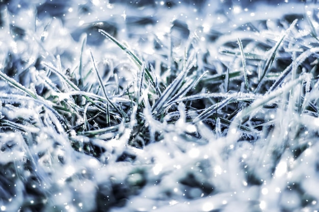 Paisaje de naturaleza de fondo de vacaciones de invierno con nieve brillante y clima frío en Navidad