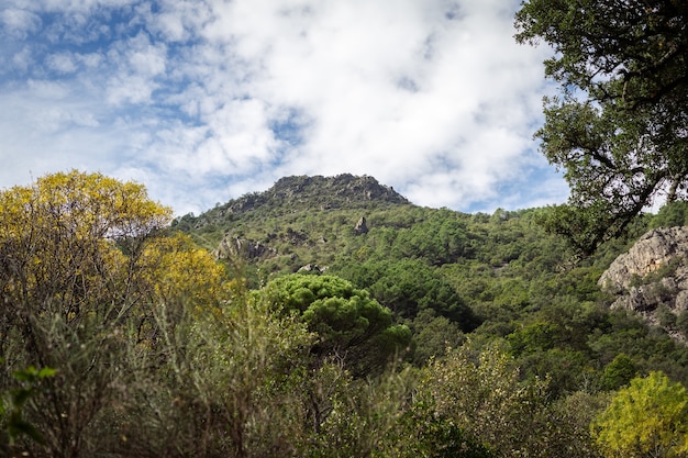 Paisaje de la naturaleza con la montaña y el cielo con nubes de fondo