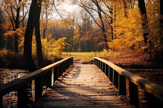 Paisaje de la naturaleza otoñal