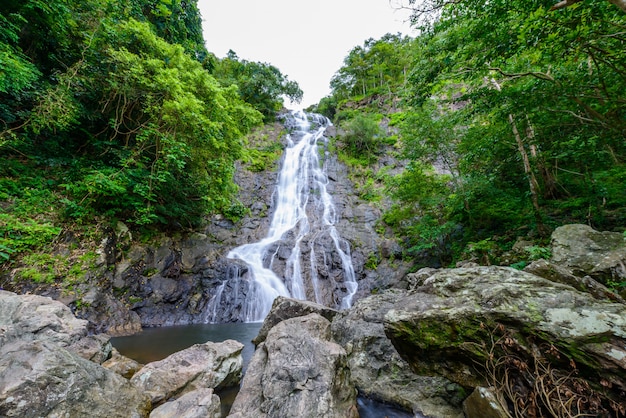 Paisaje de naturaleza tropical con cascada