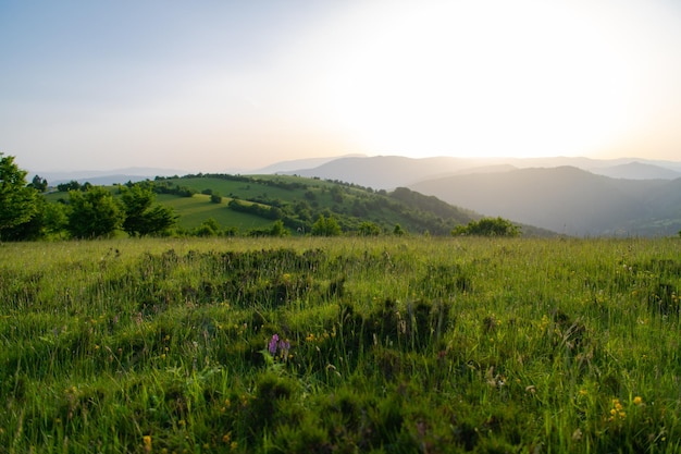 paisaje de naturaleza de verano al atardecer en montañas y colinas en el campo líneas abstractas y fondo de curvas