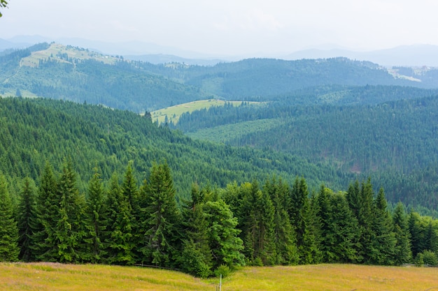 Paisaje de la naturaleza de verano de las montañas Karpaty.