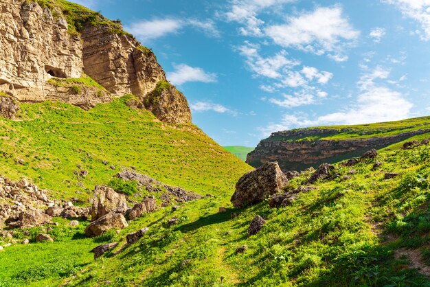 Paisaje de naturaleza verde con un fragmento de colapso de una roca