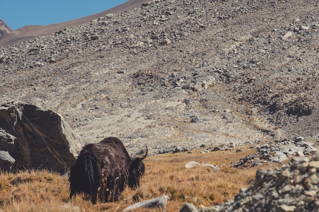 Paisaje de la naturaleza