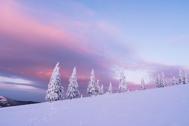 Paisaje navideño con abeto en la nieve.