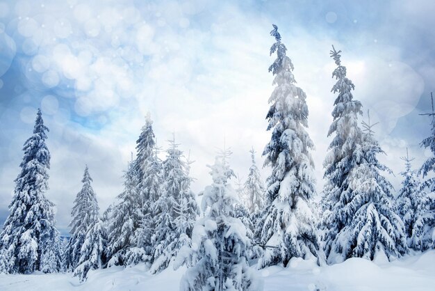 Paisaje navideño de invierno con árboles nevados y luces majestuosas