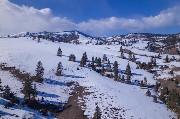 Un paisaje nevado con árboles y montañas al fondo