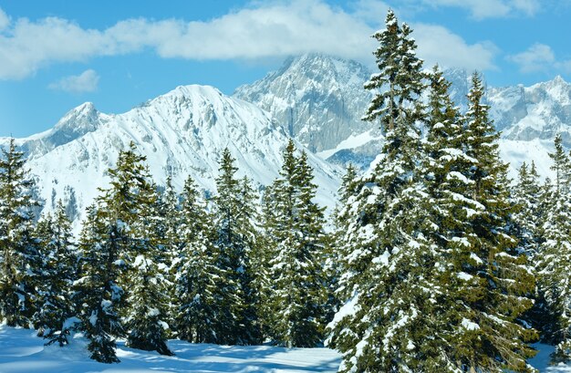 Foto paisaje nevado del bosque de abetos de montaña de invierno (parte superior de papageno bahn - filzmoos, austria)