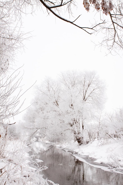 Paisaje nevado de espacios abiertos cerca del río clima nevado