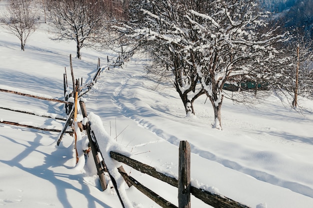 Paisaje nevado de invierno cerca de campo nevado