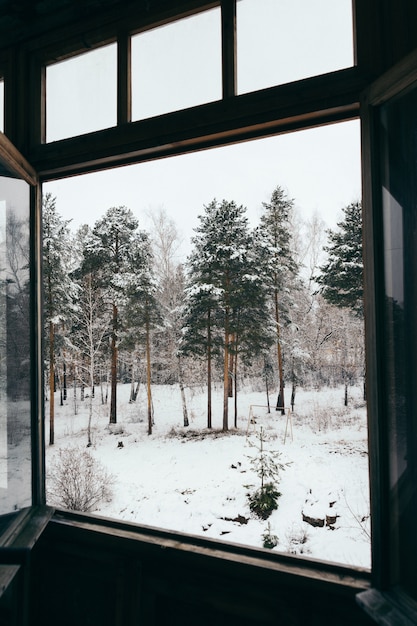 Paisaje nevado de invierno desde la ventana