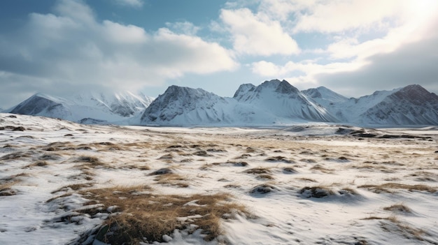 Un paisaje nevado con una montaña al fondo