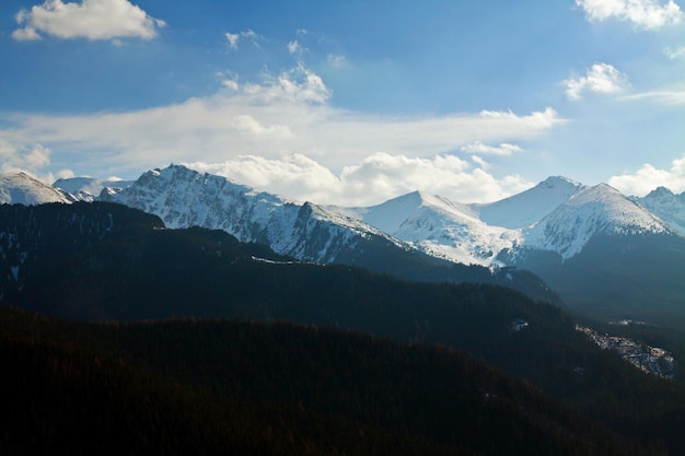 paisaje nevado de montaña con bosque