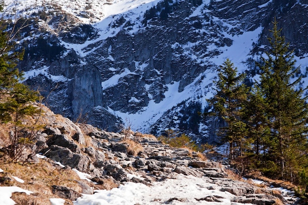 Paisaje nevado de montaña con camino de roca