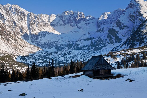 Paisaje nevado de montaña con casa de madera.