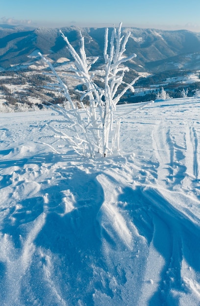 Paisaje nevado de montaña de invierno