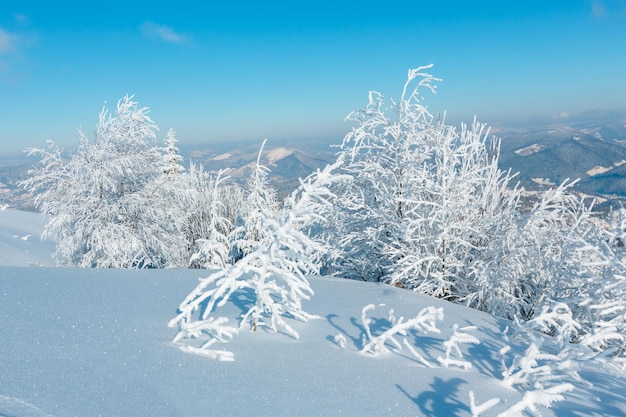 Paisaje nevado de montaña de invierno