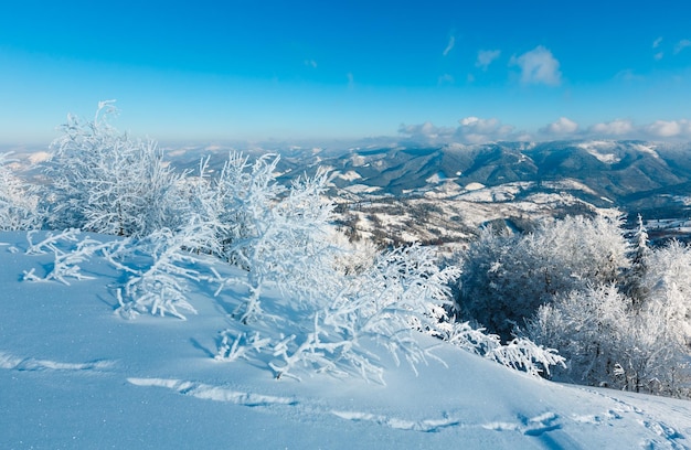 Paisaje nevado de montaña de invierno