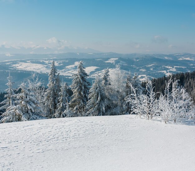 Paisaje nevado de montaña de invierno