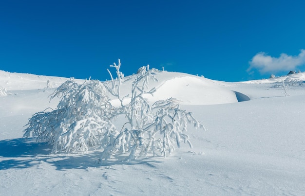 Paisaje nevado de montaña de invierno