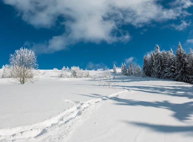 Paisaje nevado de montaña de invierno