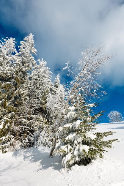 Paisaje nevado de montaña de invierno