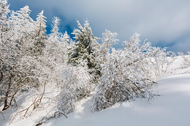 Paisaje nevado de montaña de invierno