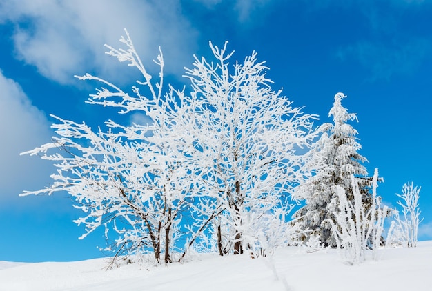 Paisaje nevado de montaña de invierno