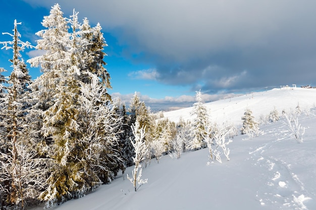 Paisaje nevado de montaña de invierno