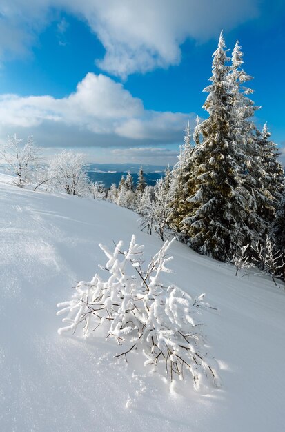 Paisaje nevado de montaña de invierno