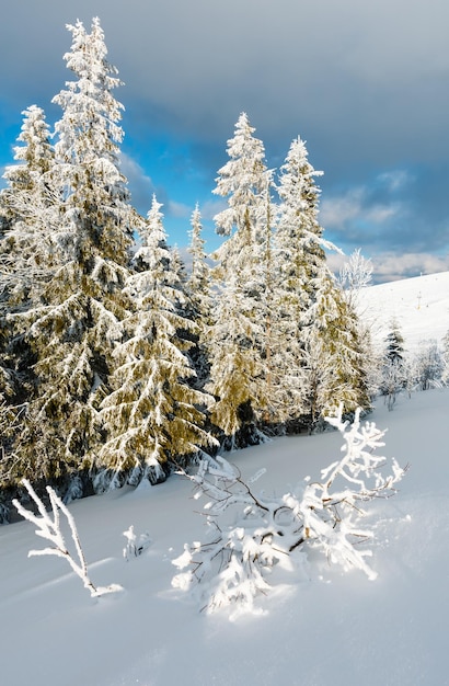 Paisaje nevado de montaña de invierno