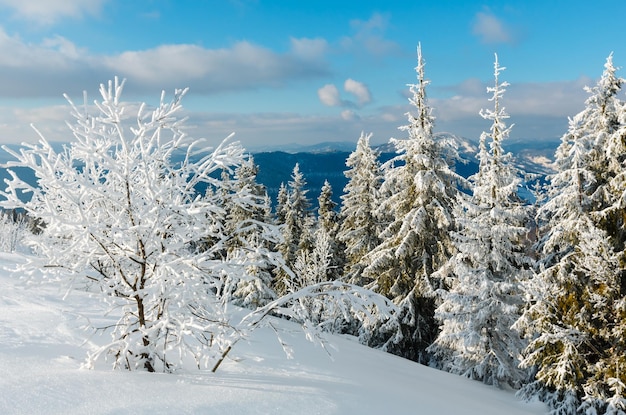 Paisaje nevado de montaña de invierno